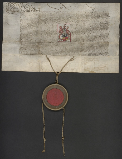 Wappenprivileg von 1528