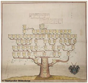 Stammbaum der Hildesheimer Familie Brandis © Stadtarchiv Hildesheim
