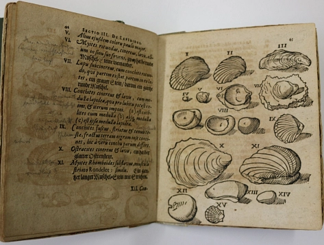 Titel aus der Museumsbibliothek&nbsp;&copy;&nbsp;Stadtarchiv Hildesheim